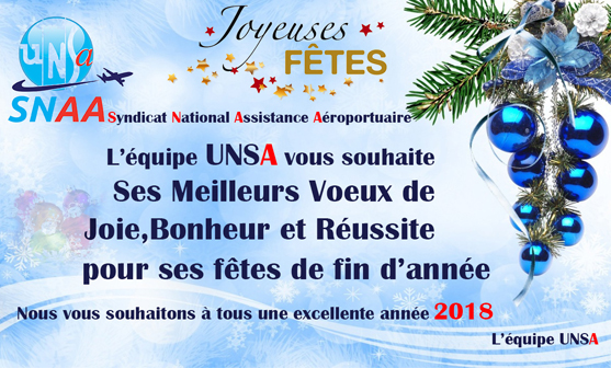 bonnes fetes_de_fin_d'année_2017_snaa_unsa